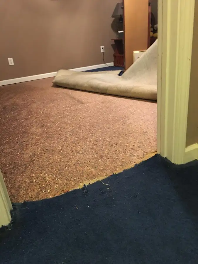 Carpet pad removal revealing water damage during Water Mitigation Services in Monitor