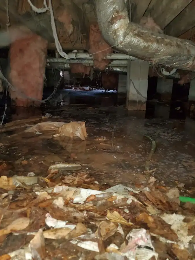 Crawl space flood assessment for Commercial Water Damage Restoration in Monitor