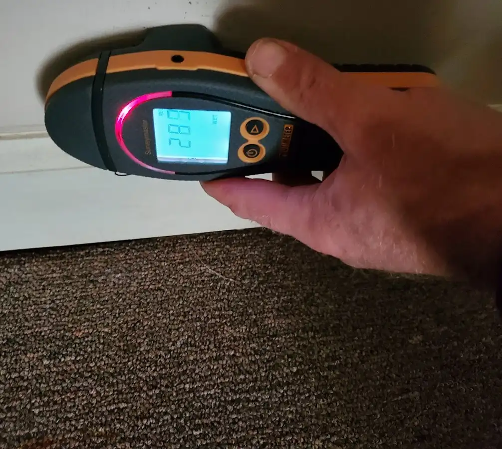 Moisture detection at baseboard during Sewage Cleanup & Sanitation in Monitor